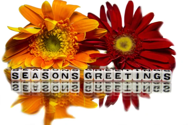 Seasons cumprimentos com flores amarelas e vermelhas — Fotografia de Stock