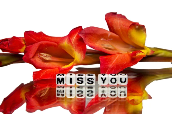 Miss you with dark red flowers — Stock Photo, Image
