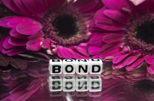 Mensagem Bond com flores cor de rosa — Fotografia de Stock