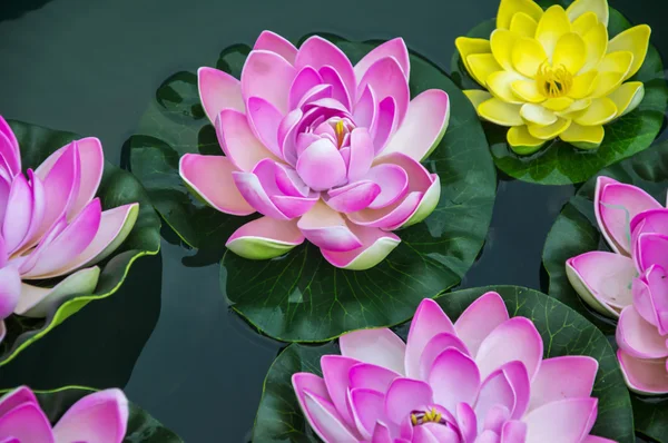 Pequenas flores de lótus artificiais — Fotografia de Stock