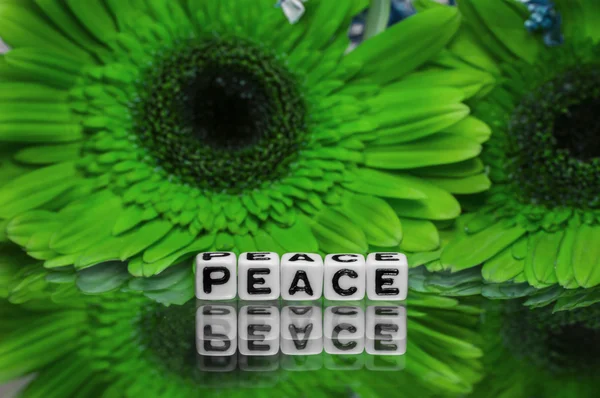 Ειρήνη γραπτό μήνυμα με πράσινα λουλούδια — 图库照片