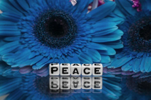 Mír textovou zprávu s modrými květy — Stock fotografie