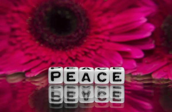 Barış küçük bir metin mesajı — Stok fotoğraf