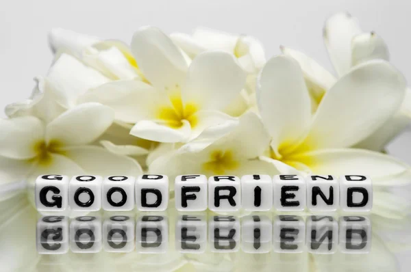 Dobry przyjaciel — Zdjęcie stockowe