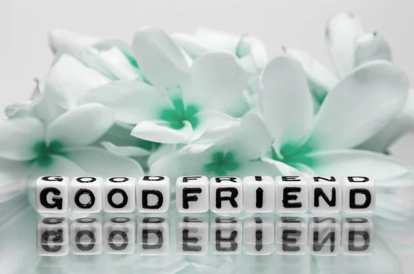 Dobry przyjaciel z zielone kwiaty — Zdjęcie stockowe
