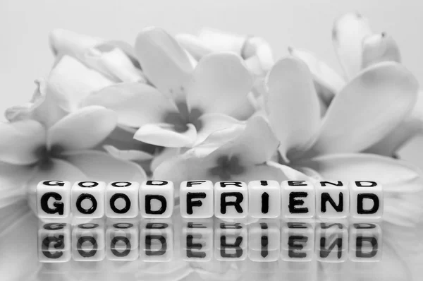 Dobry przyjaciel w szary — Zdjęcie stockowe