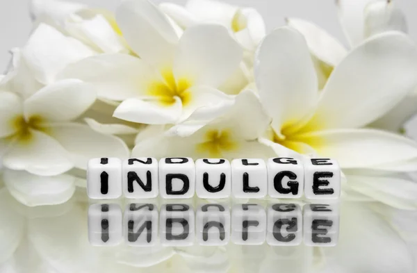 Indulge — Stock Photo, Image