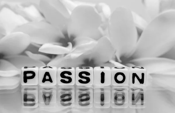 Passion with gray colors — Stock Photo, Image