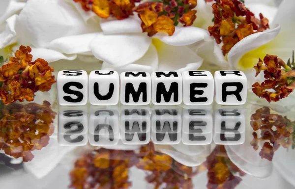 Léto s květinami — Stock fotografie