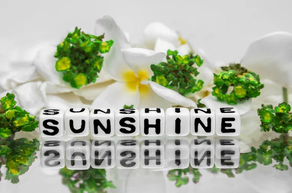 Sonnenschein mit grünen Blumen — Stockfoto