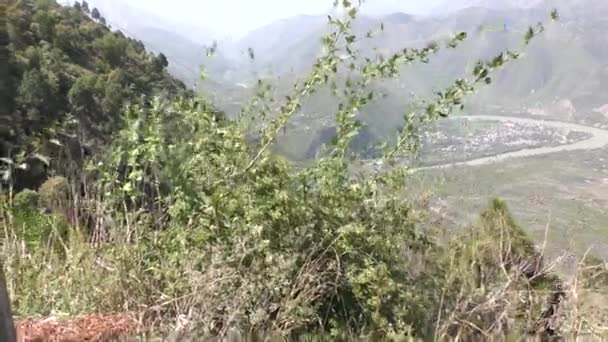 Rostliny Panaromic Pohled Sutlej Nebo Satluj Údolí Tattapani Naldehra Shimla — Stock video