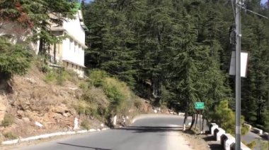 Naldehra Shimla Himachal Pradesh 'deki dağ patikasından aşağı inen viraj yoluna yaklaşıyoruz.