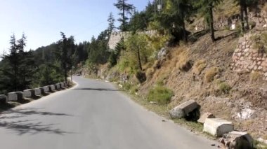 Naldehra 'daki Himalaya dağ yolunda yürürken Shimla Himachal Pradesh
