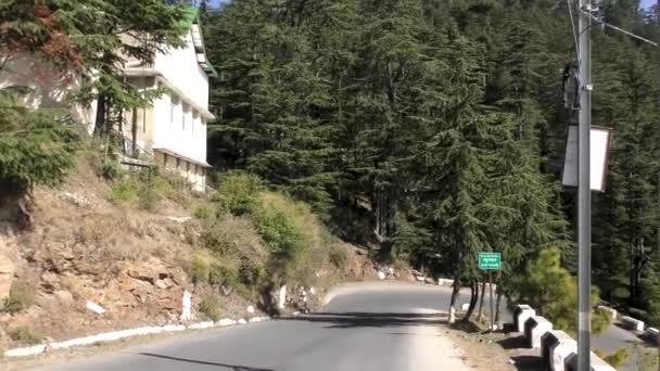 Aproximando Estrada Descendente Grampo Cabelo Trilha Montanha Naldehra Shimla Himachal — Vídeo de Stock