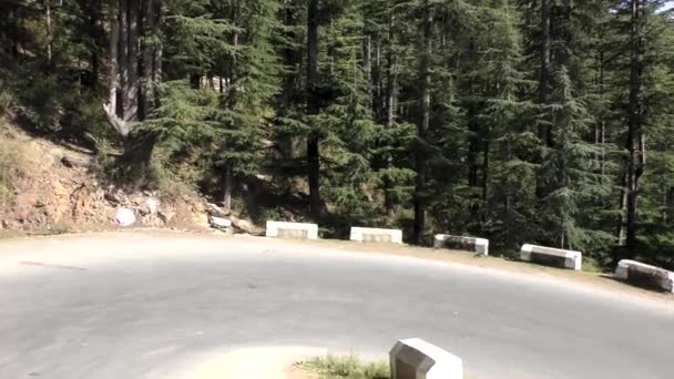 Approaching Descending Hairpin Road Curve Mountain Trail Naldehra Shimla Himachal — Stock Video