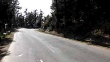 Naldehra Shimla Himachal Pradesh 'teki çok uzun kozalaklı çam ağaçlarıyla çevrili kara yoldaki üsse yaklaşıyoruz.