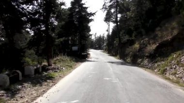Himalaya bölgesindeki Naldehra Shimla Himachal Pradesh 'te çok uzun kozalaklı çam ağaçlarıyla çevrili kara yolda parlayan güneş.