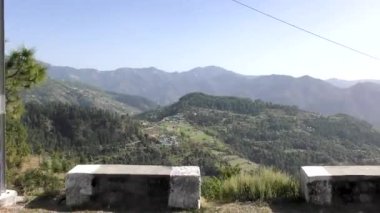 Naldehra 'daki derin Himalaya vadisi ve çam ormanı Shimla Himachal Pradesh