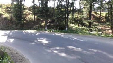 Naldehra Shimla Himachal Pradesh 'te virajlı siyah Himalaya yolu