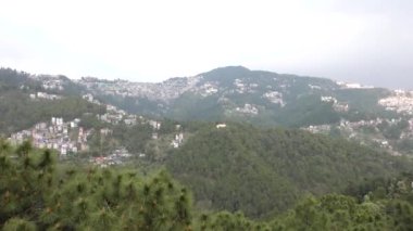 Deodar ve çam ağaçları ve Himalaya Shimla Vadisi 'nden Shimla şehir manzarası Himachal Pradesh