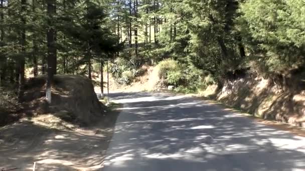 在Nalhra Shimla Himachal Pradesh 道路空旷 森林茂密 两边没有人 — 图库视频影像