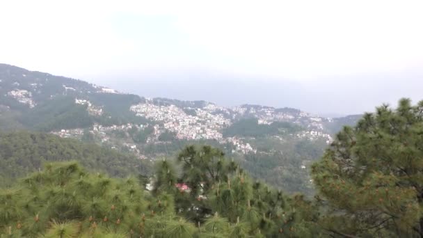 Město Přes Pohybující Vrcholu Deodar Cedrové Borovice Himalájské Shimla Údolí — Stock video