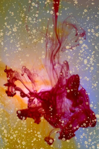 Red ink sinking in water and Alcohol ink fluid abstract texture fluid art with gold glitter and liquid with shades.