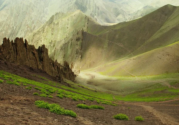 Oblast Ladakh, severní Indie — Stock fotografie