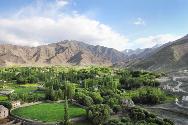 Vale do Spituk em Ladakh, norte da Índia — Fotografia de Stock