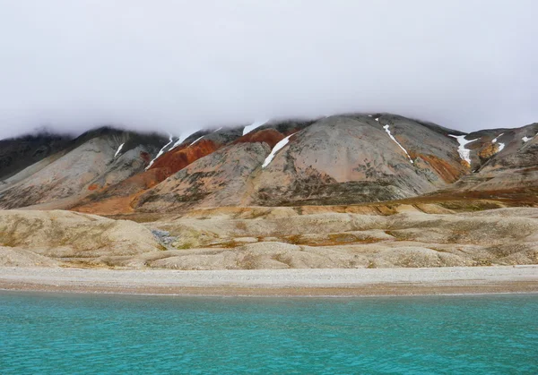 Playa ártica en Spitsbergen (isla de Svalbard ) — Foto de Stock