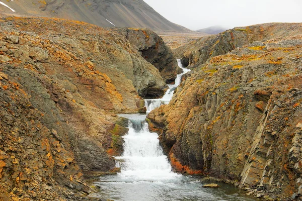 Cascata artica nelle rocce, Spitsbergen (isola di Svalbard ) — Foto Stock