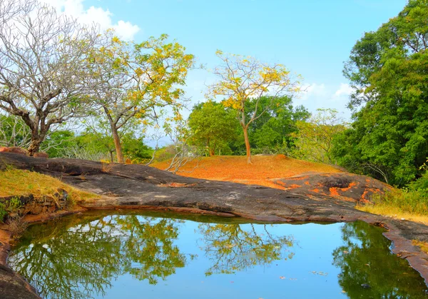 gölet üst kısmında yapahuwa kaya, sri lanka