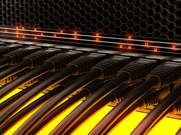 Kablolu modern ağ anahtarı.