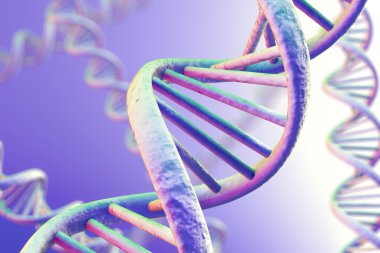 DNA büyütme