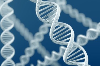 DNA büyütme