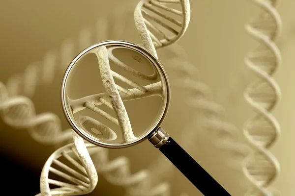 DNA Magnification — Stock Photo, Image