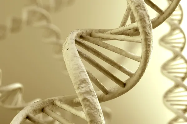 DNA Magnification — Stock Photo, Image