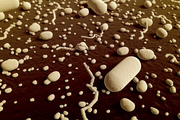 Bacterias. — Stock Photo, Image