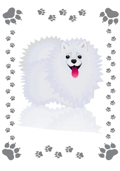 Pretty fluffy dog — Stock Vector