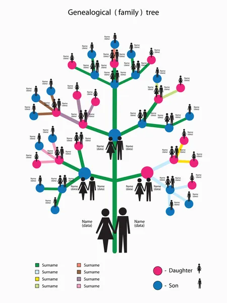 Ilustração vetorial com uma imagem da árvore genealógica da família — Vetor de Stock