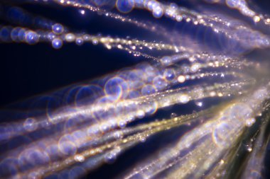 su mavi siyah arka plan görüntü