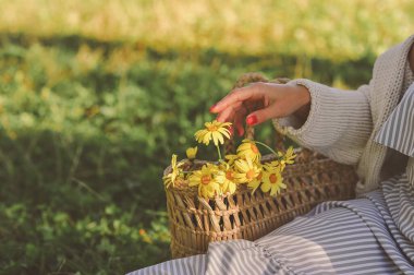 Yaz arkaplanındaki sarı papatya buketine dokunan kadınların elleri. Uzayı metin için kopyala. Rahatlayın ve dinlenin. Yatay fotoğraf 