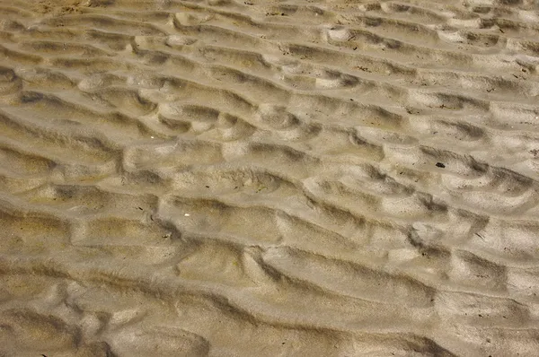 Rippled Wet Sand — Stock Photo, Image