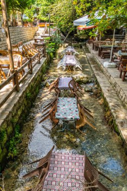 Hayat Moses Ağacı Soluk Kesen Resimli Restoran Yazın Mavi Gök Gününde Nehrin Üzerinde