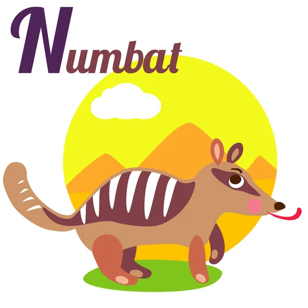 Numbatl — Vetor de Stock