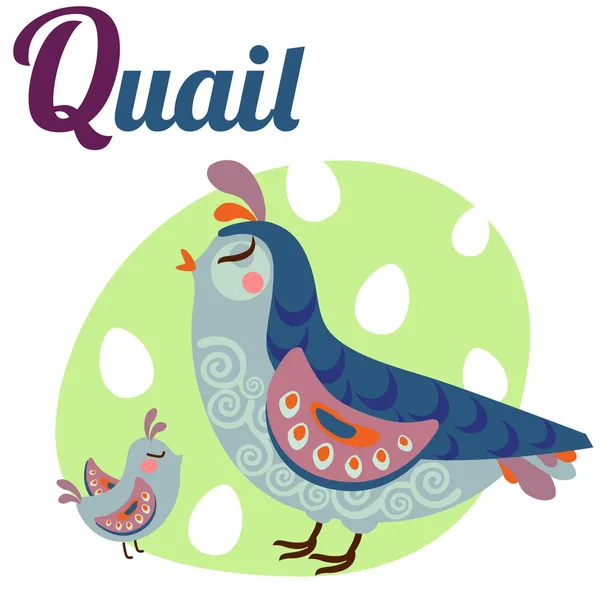 Quailletter — стоковый вектор