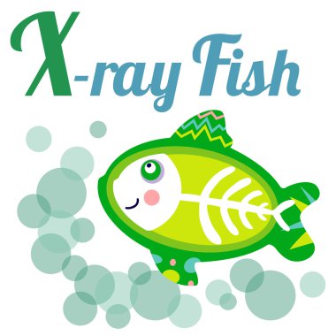 Xrayfish