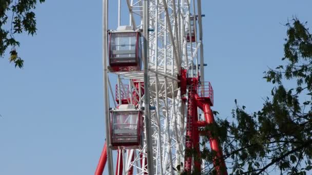 Ferris Roda Gira Dia Ensolarado Parque Diversões Não Pessoas — Vídeo de Stock