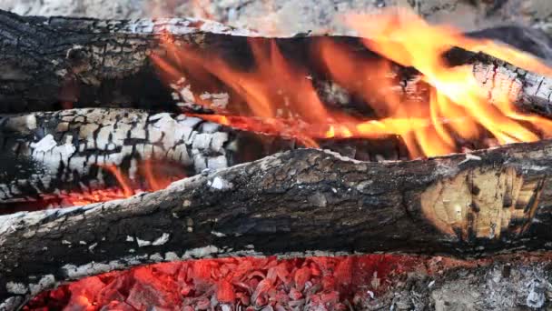 木の火を閉じてください 火の木の切り株 — ストック動画