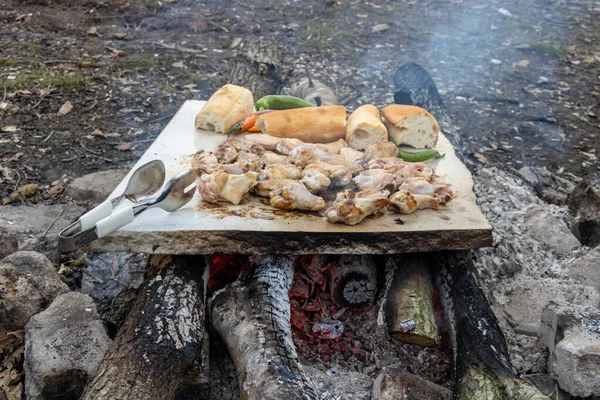 Grilled Chicken Meat Marble Stone Wood Fire Nature — Stock Photo, Image